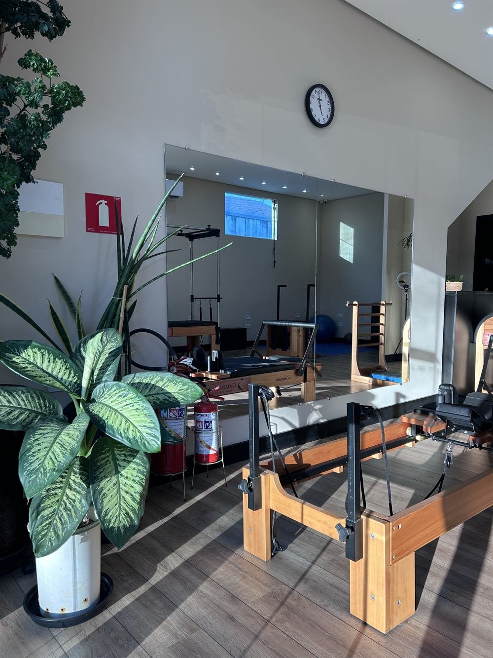 Cantinho do estúdio com espelho, plantas e Reformer de Pilates